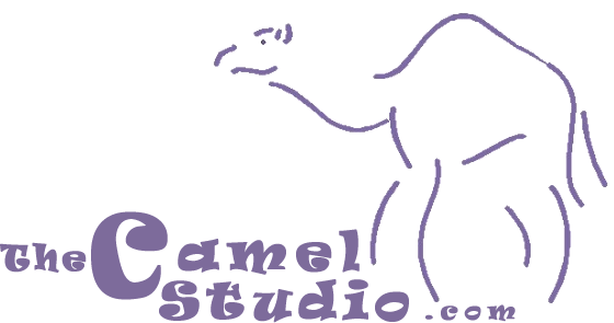 The Camel Studio